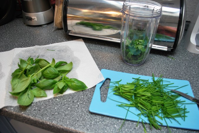 Verarbeitung der Kräuter für das Pesto