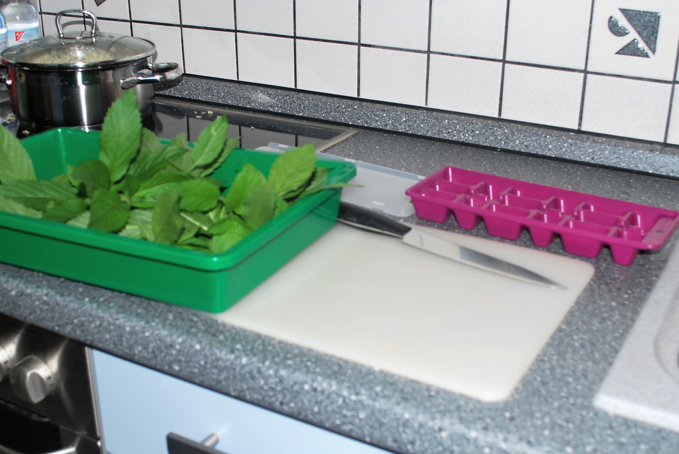 Zutaten Minze-Eiswürfel