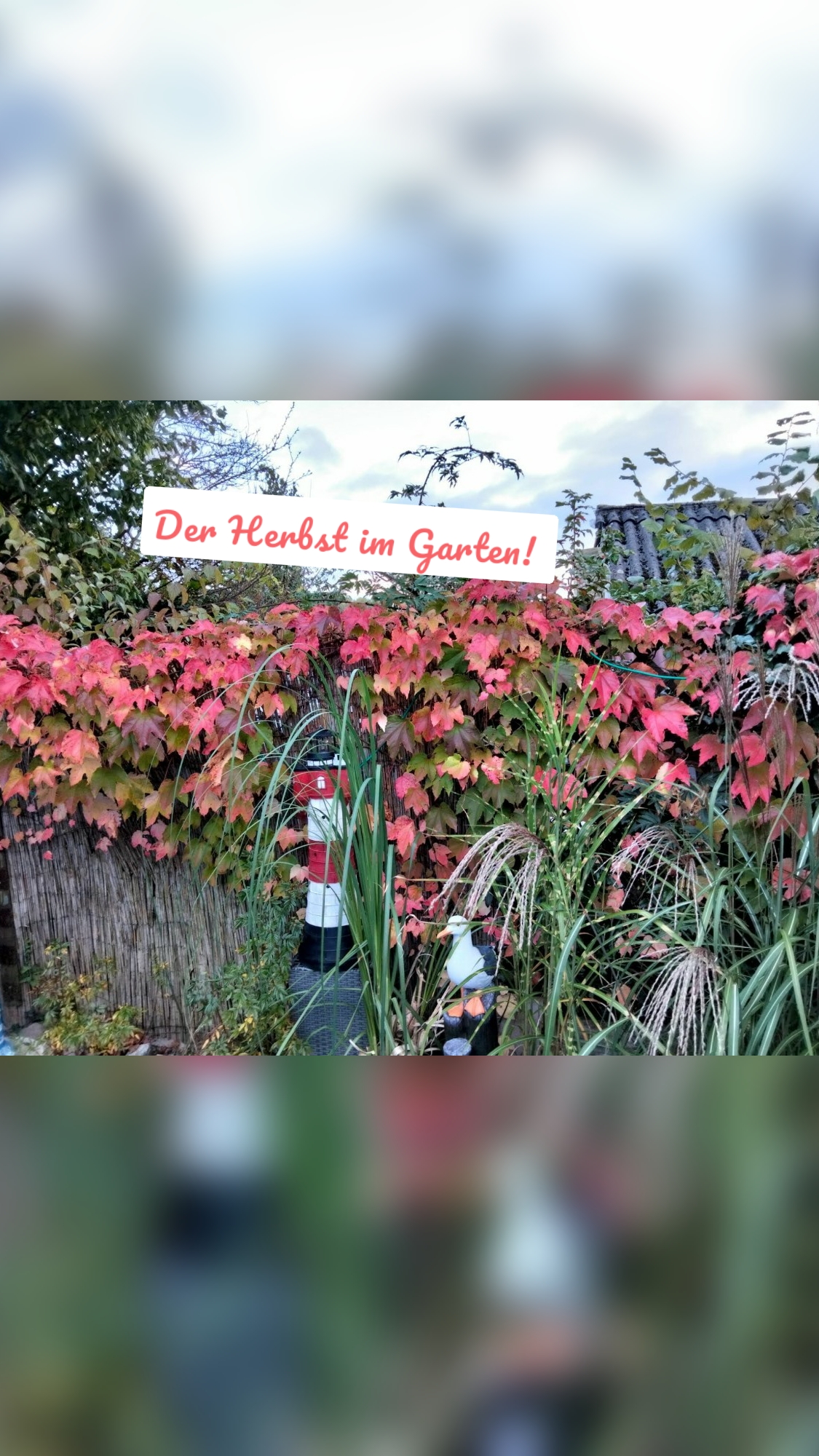 Der Herbst im Garten!