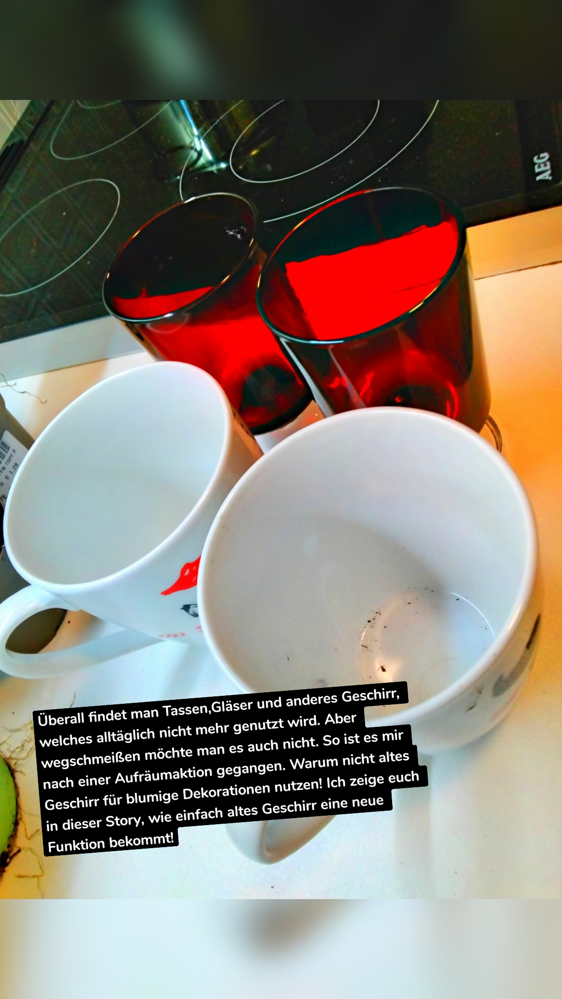 Überall findet man Tassen,Gläser und anderes Geschirr, welches alltäglich nicht mehr genutzt wird. Aber wegschmeißen möchte man es auch nicht. So ist es mir nach einer Aufräumaktion gegangen. Warum nicht altes Geschirr für blumige Dekorationen nutzen! Ich zeige euch in dieser Story, wie einfach altes Geschirr eine neue Funktion bekommt!